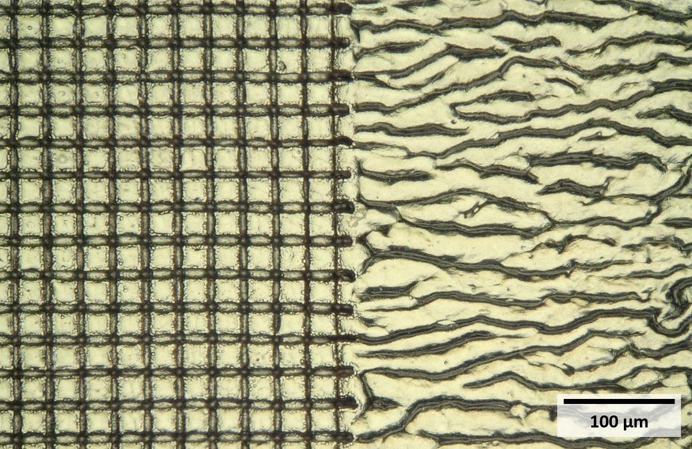 Comparison of coated and structured (left) and unstructured (right) elastomer substrate.